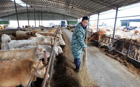 开家洗浴中心怎么样，开家洗浴中心怎么样啊