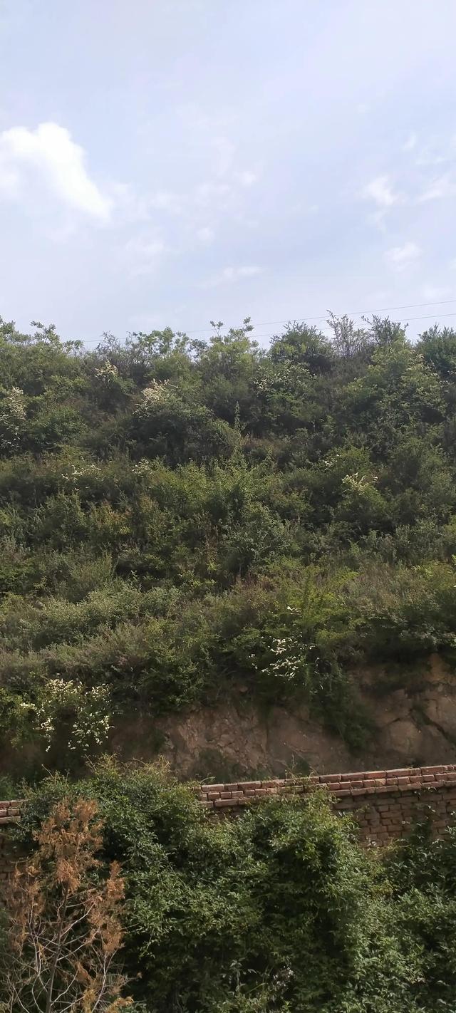 在上海的隔离生活到最后选择回乡之路的艰辛与无奈