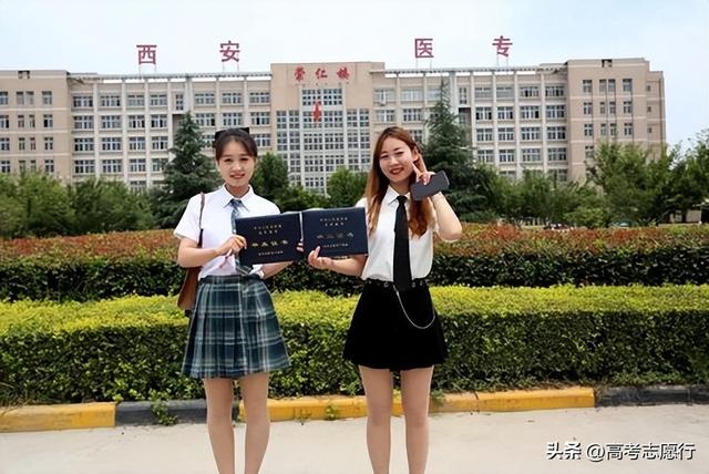 专科批次志愿填报，重点推荐5所院校，是有眼光的选择