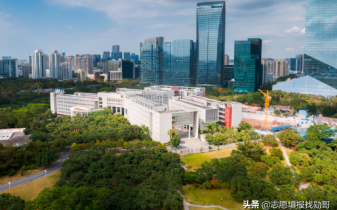深圳大学是211吗(深圳大学)