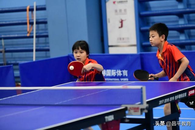 7金7银6铜，昌平区中小学乒乓球成绩再创历史新高！