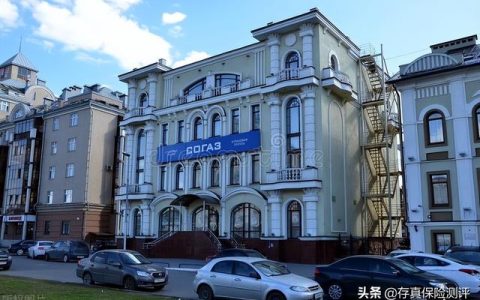 中国第一大寿险公司（中国第一大寿险公司——中国平安）