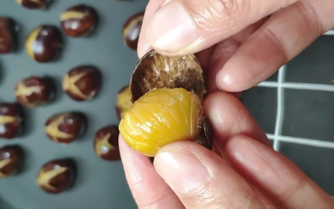 怎么样煮板栗好吃吗，板栗怎么水煮好吃又简单