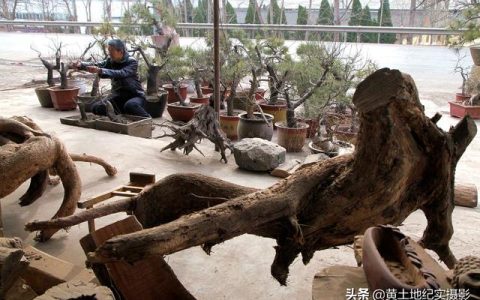 山西石头怎么样，文字石头价格