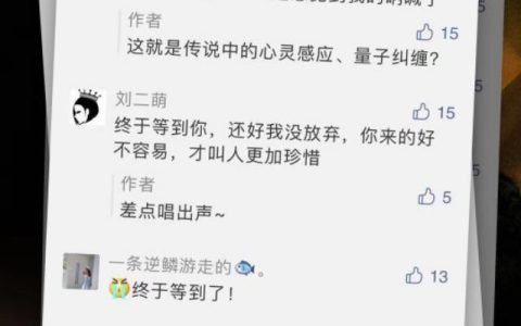 大地影院神马（大地影院 一场精彩的视听盛宴）