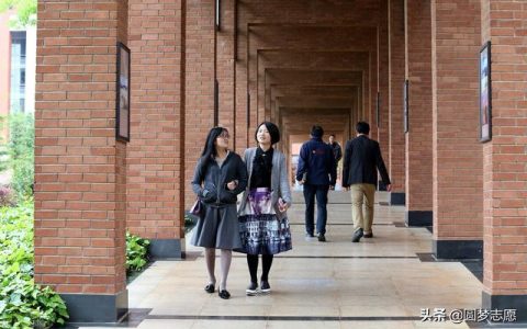 云南大学录取分数线2021(云南大学录取分数线2021美术生)