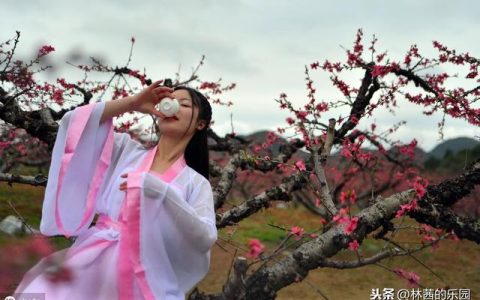 白日放歌须纵酒的下一句是什么（醉卧沙场君莫笑）