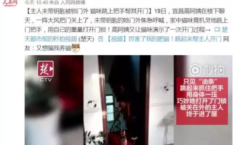 枝江汽摩城怎么样，宜昌猫咪