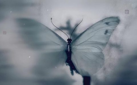 琅琊榜之聂锋出师发展史