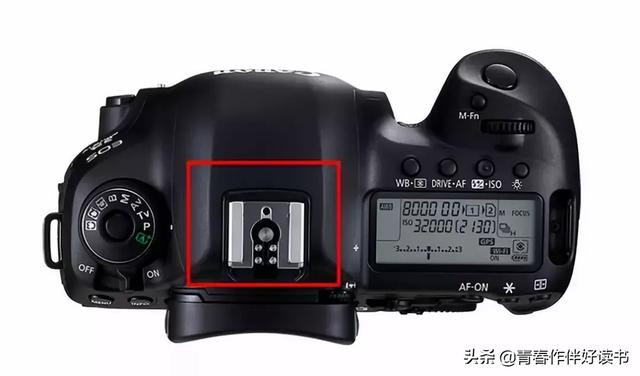 如何检测你购买的相机是不是正品：以我买的5D4为例