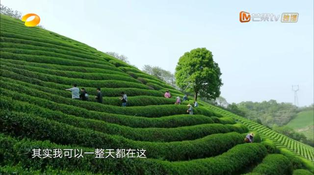 向往的离别：重复很多无聊的话，唱了很多无聊的歌，然后哭了