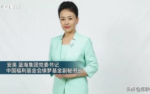 安英蓝海酒店集团安英个人简历（安英蓝海酒店集团安英个人简历）