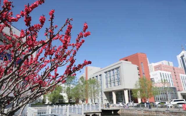 天津这所低调的高校，是医科大学里唯一的211