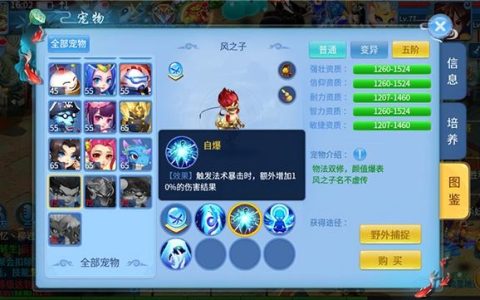 如何借助天书奇谈术士提升自身能力