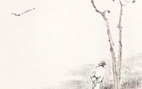 北溟鲨朱雀鱼竿怎么样，人生没有白走的路,每一步都算数是谁说的
