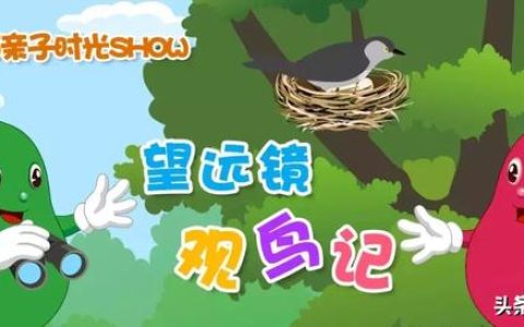 怎么样介绍啄木鸟，啄木鸟伍迪是什么鸟