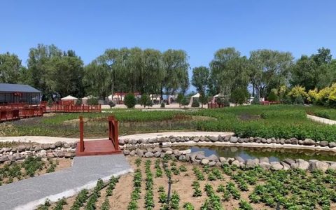 微视点公司怎么样，张家口万全区万全镇发展
