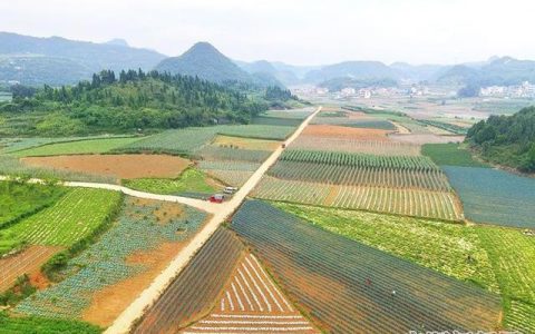 平坝屠宰场怎么样，农业三产融合发展典型发言