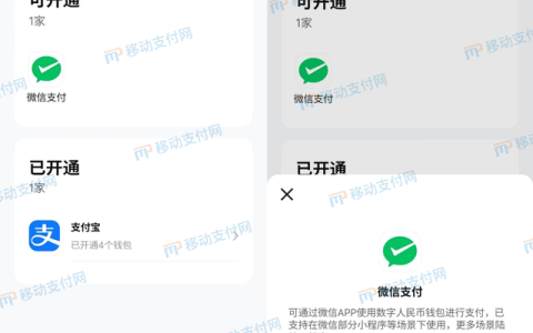 微信零钱怎么样购物，数字人民币 微信支付