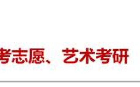 复旦大学上海视觉艺术学院(复旦大学上海视觉艺术学院是985吗)