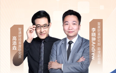 结合未来发展潜力的投资策略