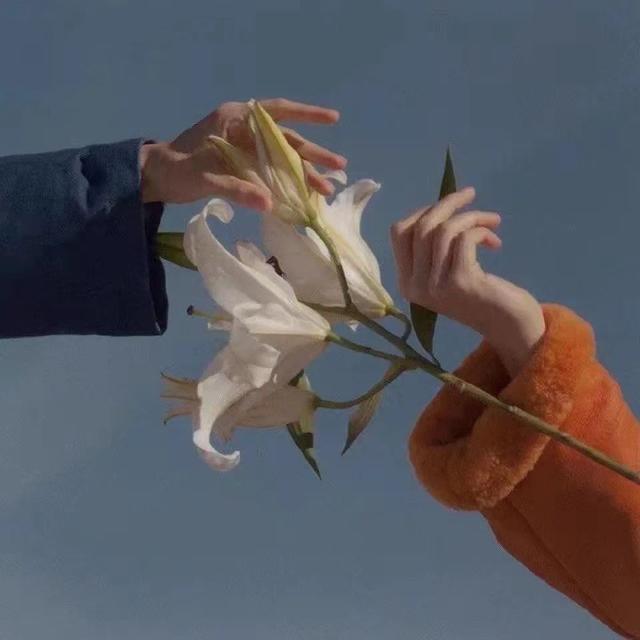 高级有质感的文案
