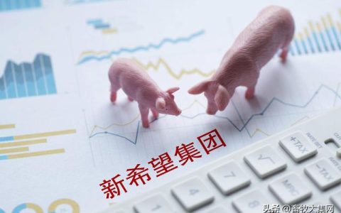 天邦养猪怎么样，天邦养猪怎么样好不好