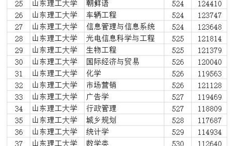 山东理工大学分数线(山东理工大学分数线)