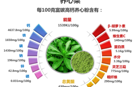 养心菜的功效与作用及食用方法（养心菜的功效与作用及食用方法）