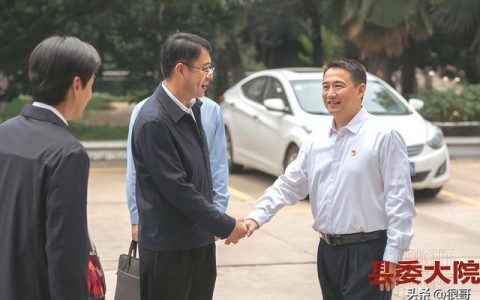 徐佳演员经历人物形象定位
