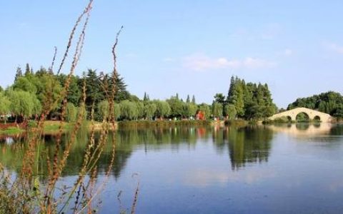 平江万达住宅怎么样，苏州买房板块分析