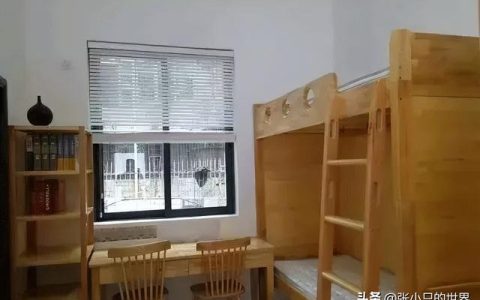 深圳外国语学校高中部(深圳外国语学校高中部学费)
