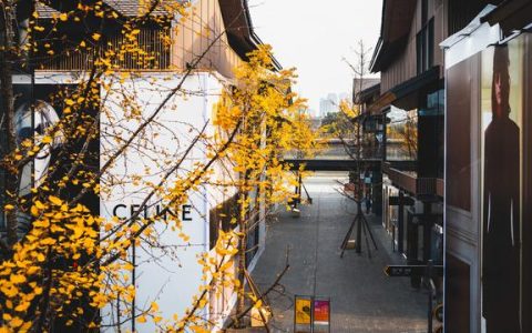 成都发展怎么样，为什么国家大力发展成都