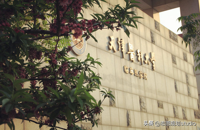 院校介绍——天津医科大学临床医学院