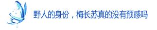 《琅琊榜》中这几个未解之谜，直到全剧终也没有解开