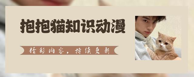 什么是正确的“性爱”生活？没经验的新手，可以学习一下