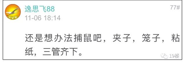 “我没本事租一个月几万的房子？”杭州一姑娘遇史上最艰辛租房史