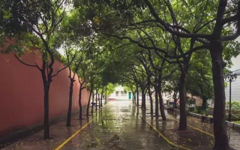 兴宁市职业技术学校(兴宁市职业技术学校地址)