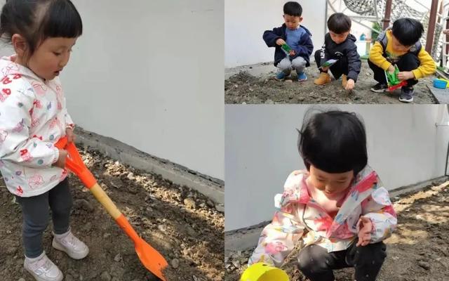 遇见春天，“植”此青绿