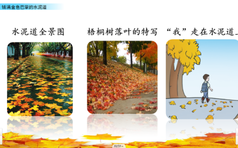三年级学习熨帖技巧指南