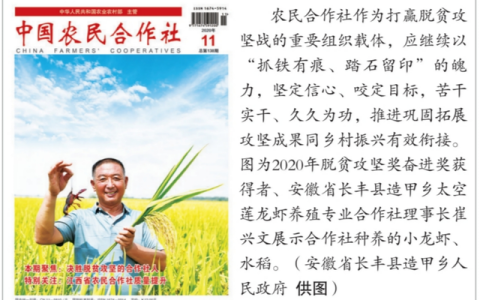 富锦鼎新幼儿园怎么样，第六届全国文明村镇名单公布时间表
