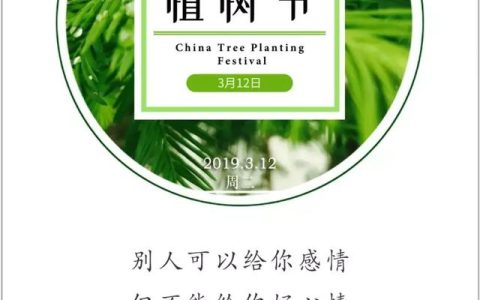 幼儿园植树节活动美文长尾词标题