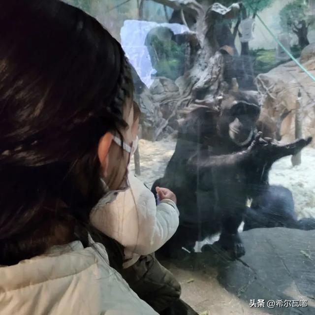 长隆游玩攻略，帮你节省50%的时间