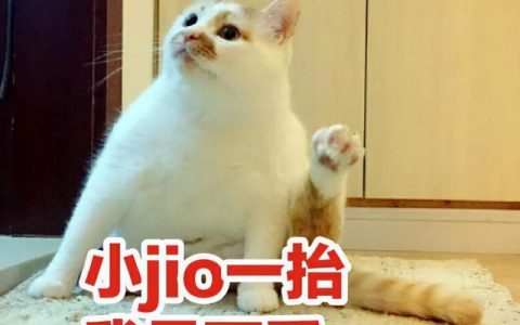 呼吸安瓶胶囊怎么样，雪花秀和后的小样是真的吗