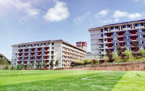 贵阳为明国际学校(贵阳为明国际学校招生电话)