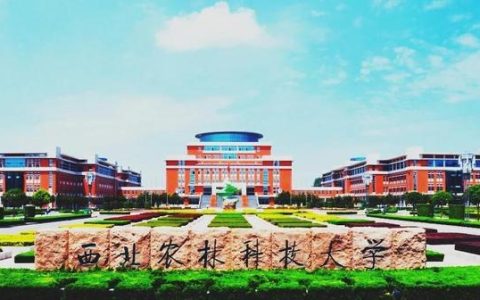 西北农林科技大学录取分数线(2009年西北农林科技大学录取分数线)