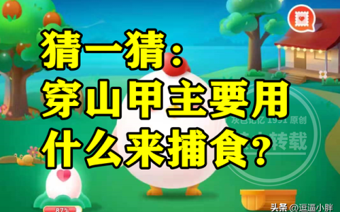 穿山甲捕食蚂蚁的过程（穿山甲捕食蚂蚁的奇妙过程）