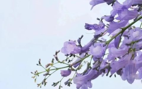 福州师范大学(福州师范大学是双一流大学吗)