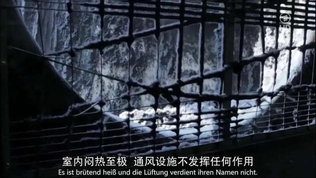 毒物超标27倍的“衣服”曝光：这是人干的事吗(组图)