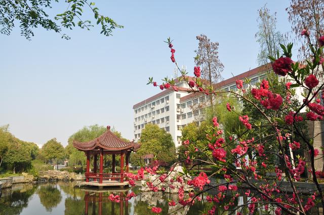 树大师生学习、热议全省教育大会，坚实走好应用型本科建设之路